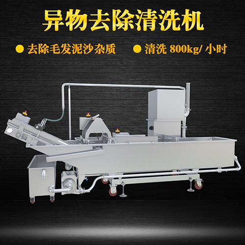 果蔬專用清洗機，氣泡清洗，清洗800kg小時