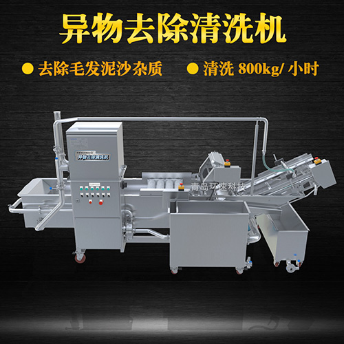 多功能水果清洗機，氣泡清洗，清洗800kg小時