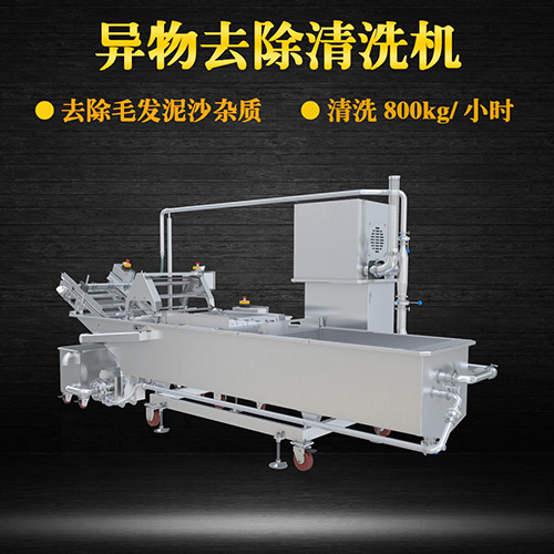 果蔬專用清洗機，氣泡清洗，清洗800kg小時